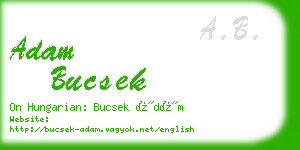 adam bucsek business card